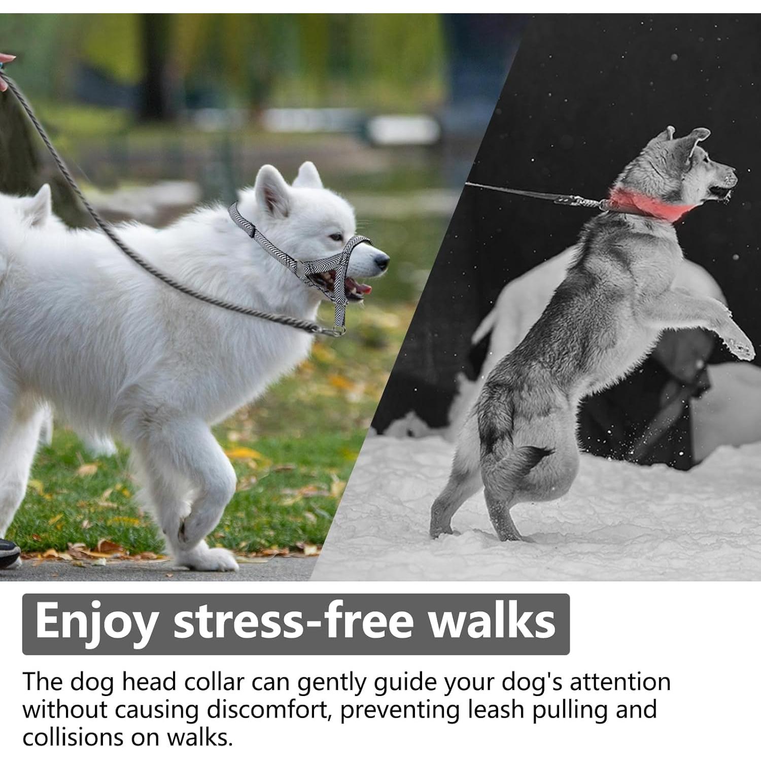 Collar de Cabeza para Perros Wintchuk L Negro Acolchado Ajustable