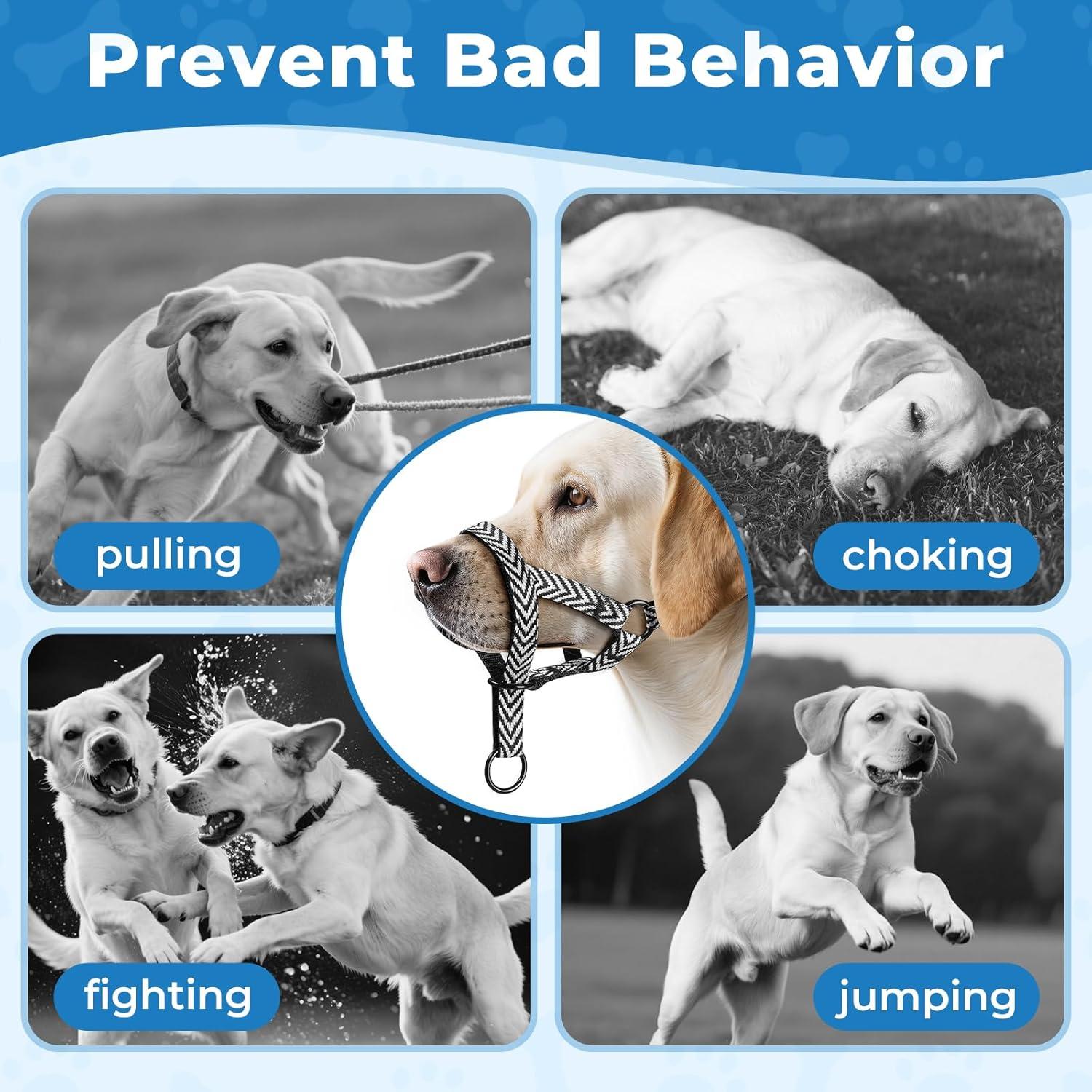 Collar de Cabeza para Perros Wintchuk M Gris Acolchado Ajustable