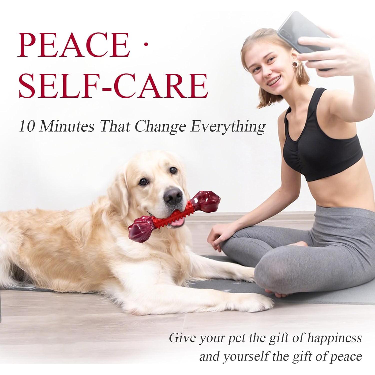 Juguete para Perros Apasiri Resistente Nylon y Caucho 20cm