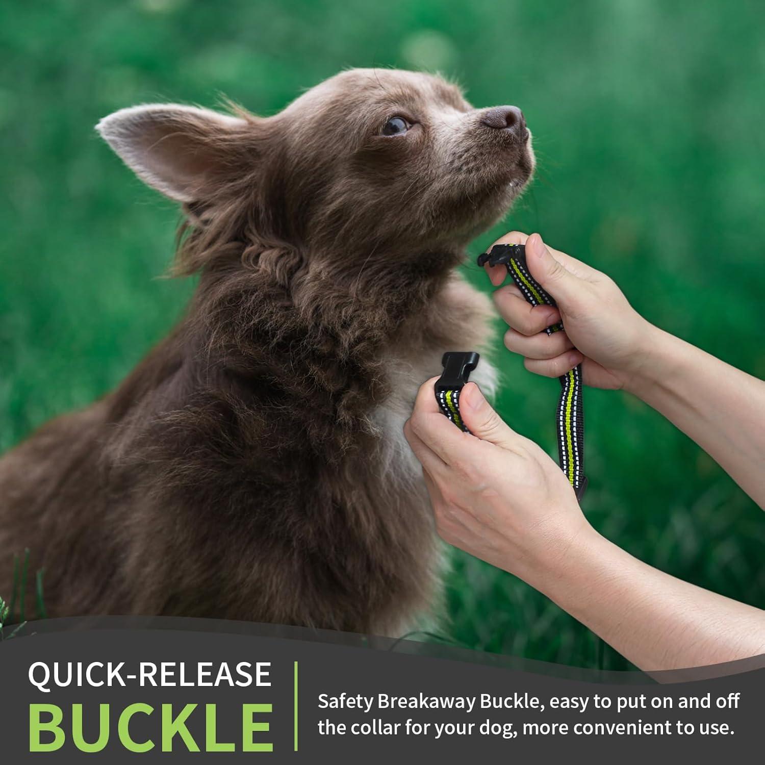 Collar Ajustable Reflectante para Perros Peture 68.6 cm