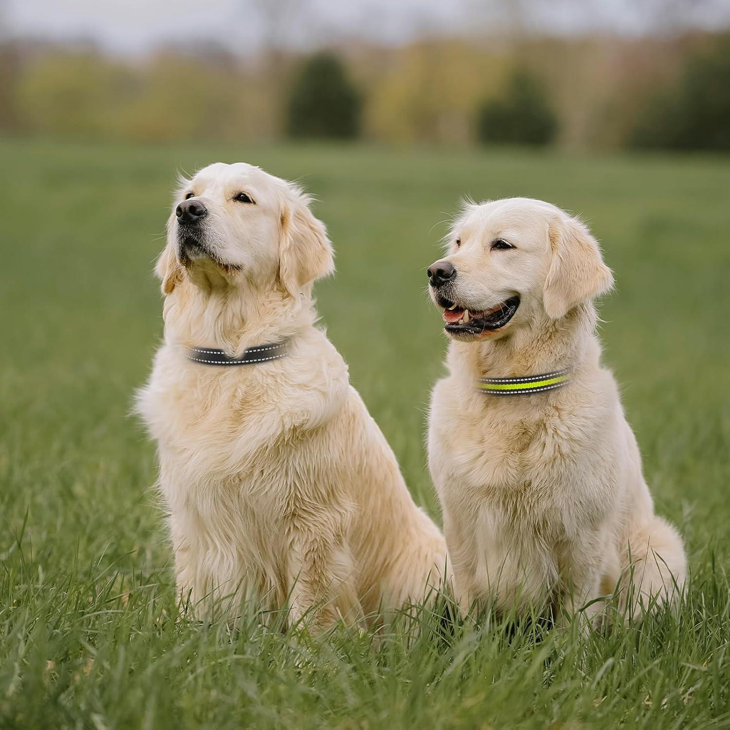 Collar Ajustable Reflectante para Perros Peture 68.6 cm