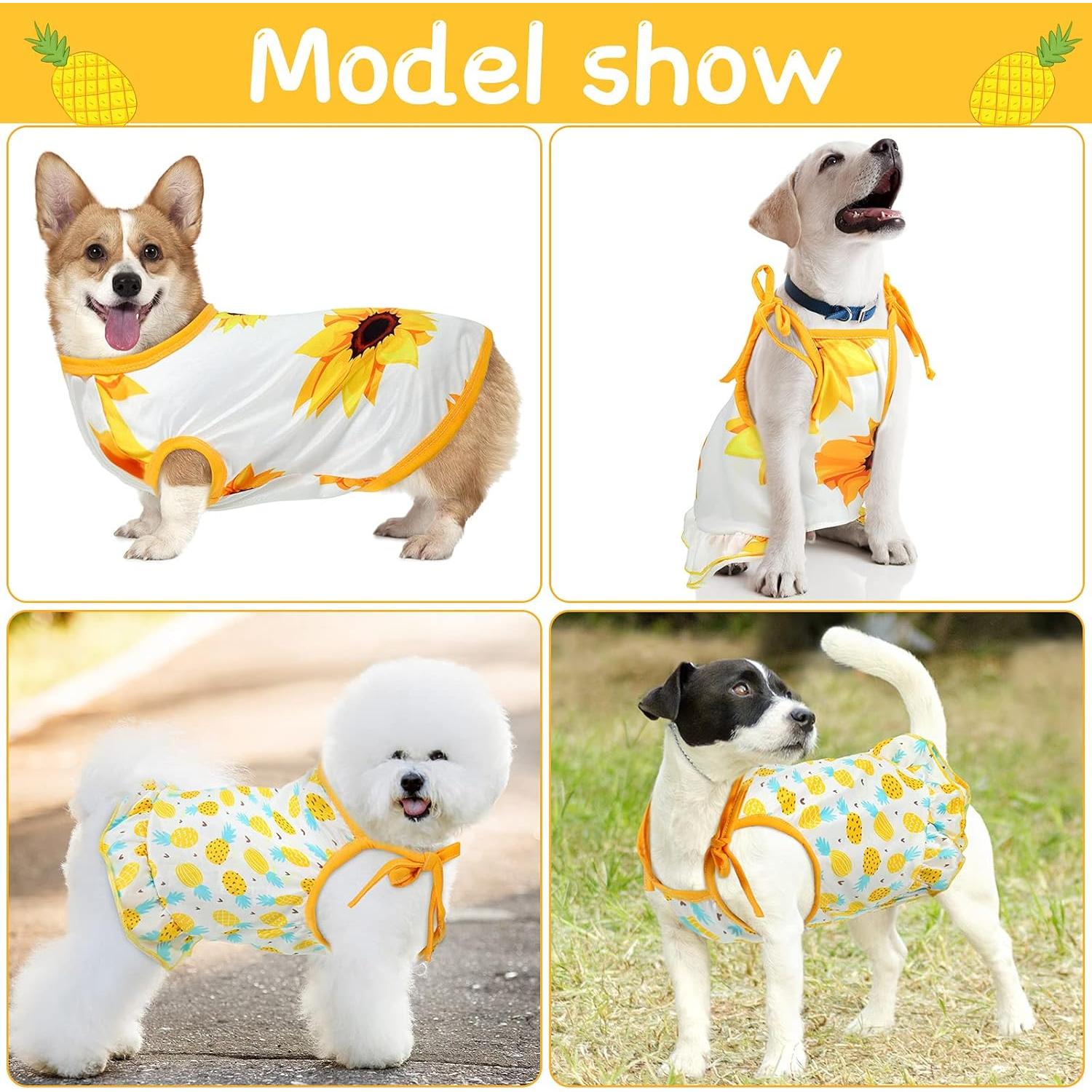 Conjunto Ropa para Mascotas Frienda 4 Piezas Mediano