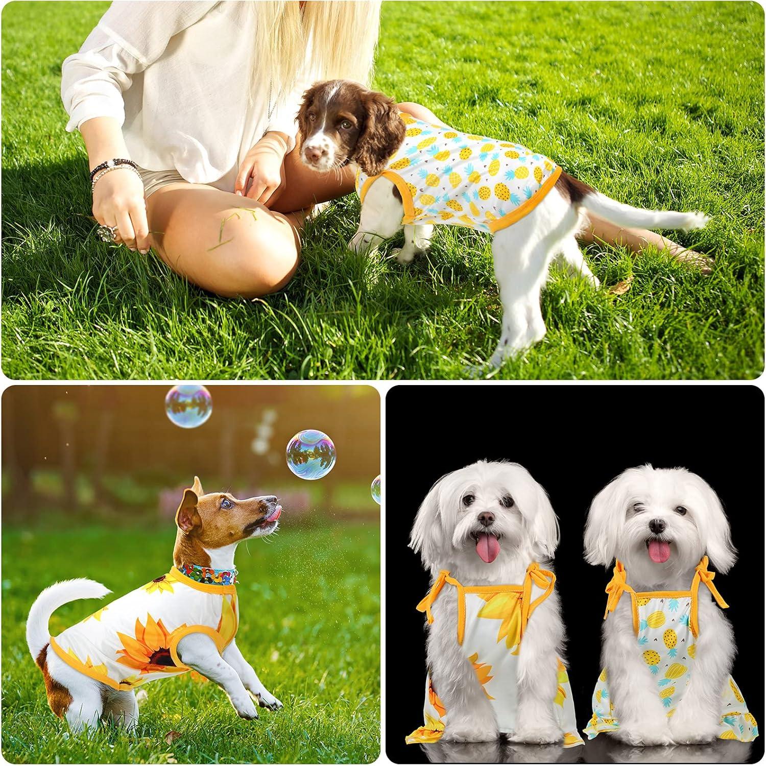 Conjunto Ropa para Mascotas Frienda 4 Piezas Mediano