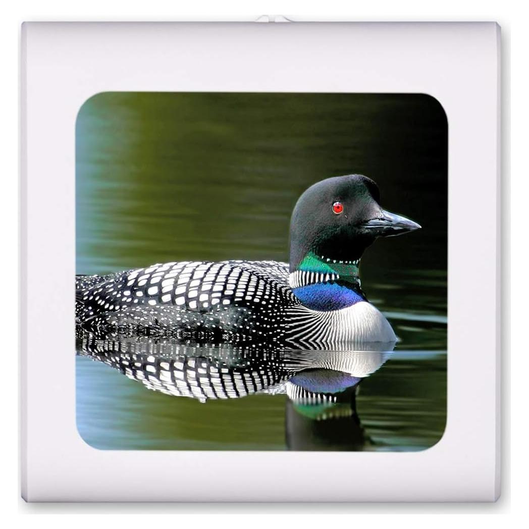 Luz Nocturna LED Regulable Art Plates con Sensor Automático