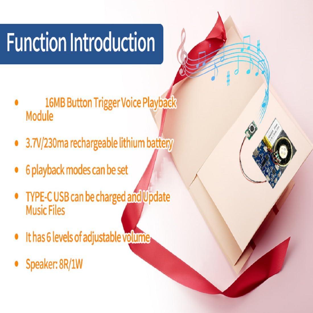 Módulo de Sonido XLW JR1653 - Grabación 16 Minutos, 16MB, USB-C, Azul 2Pack