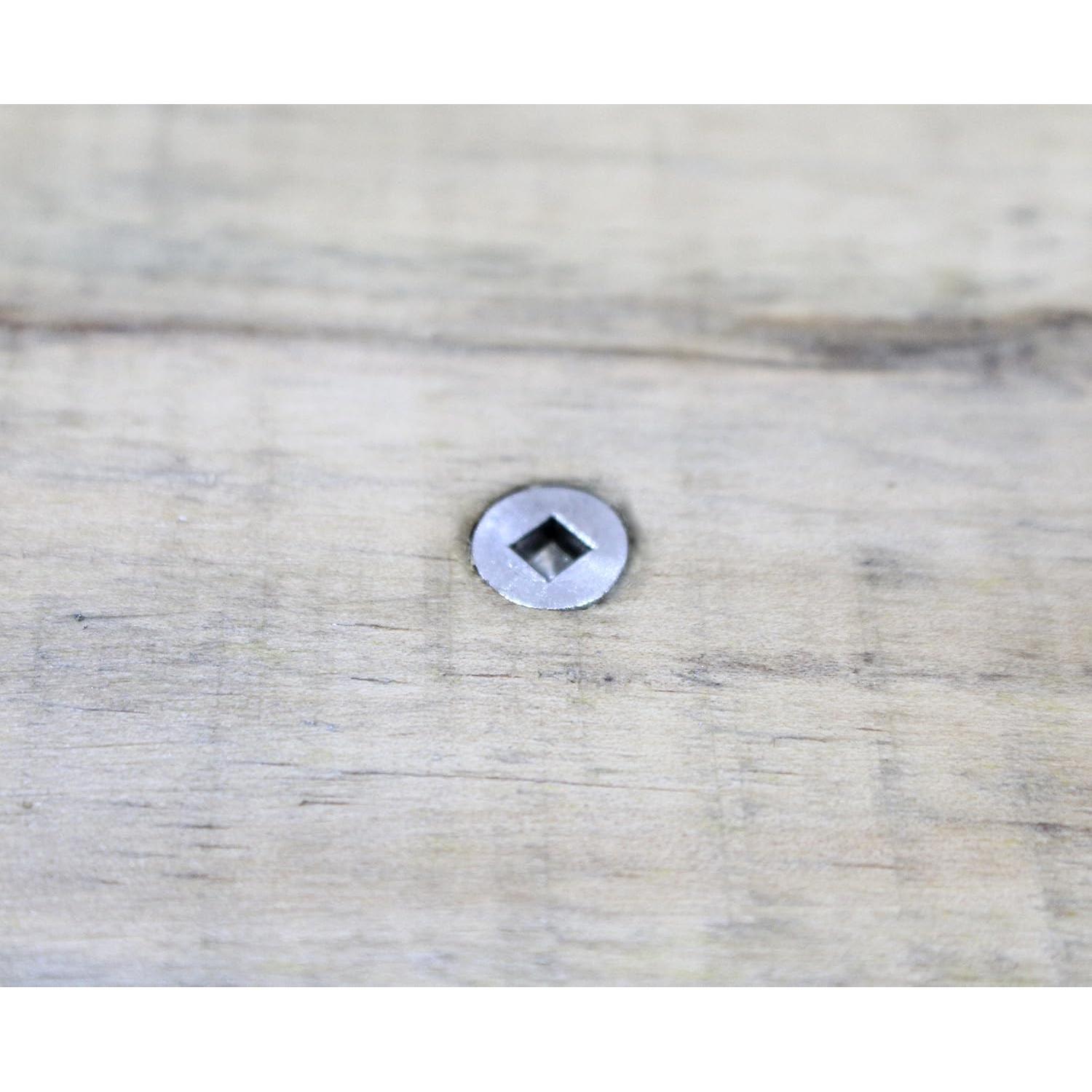 Tornillos de Deck Acero Inoxidable Bolt Dropper #8 100 pcs