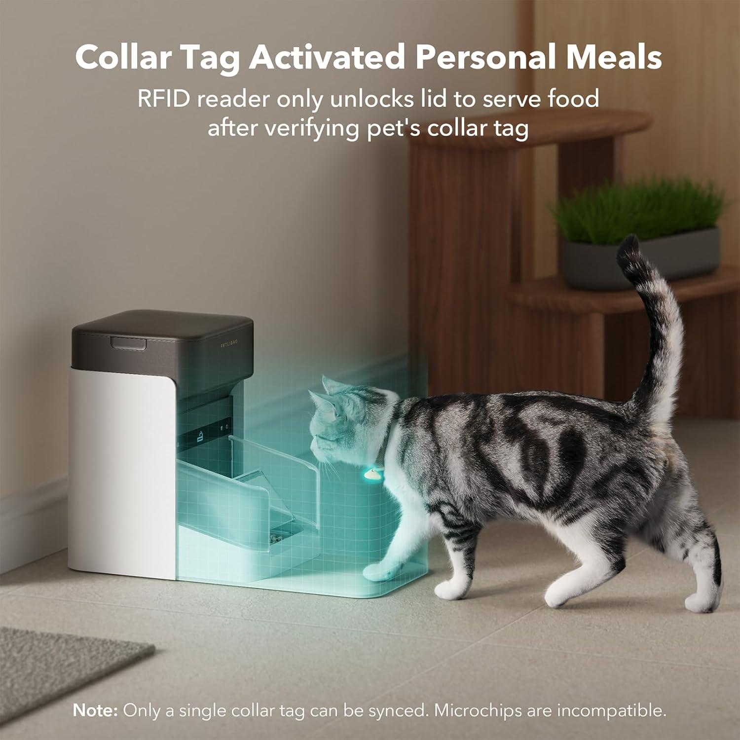 Alimentador Automático para Gatos PETLIBRO 3L Wi-Fi RFID Negro