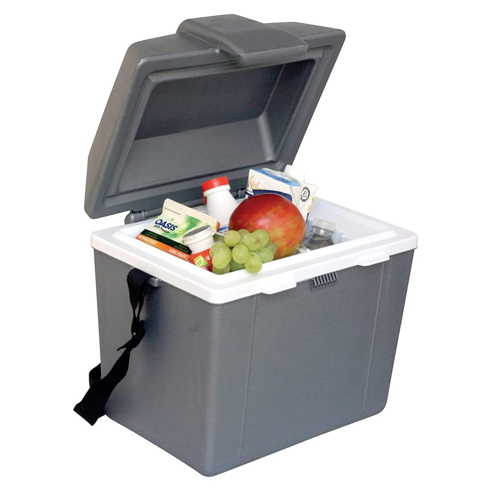 Enfriador Eléctrico Portátil Koolatron P9 AZ 9.3L 12V