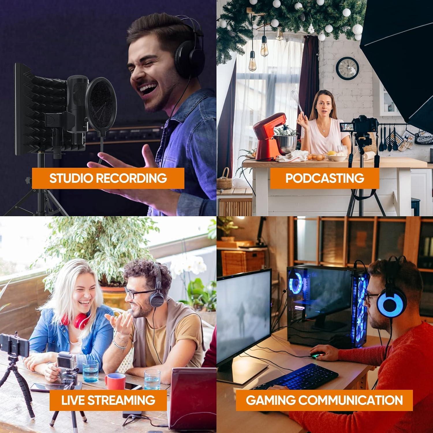 Micrófono de Estudio SwaykTech SWK3 con Escudo y Filtro