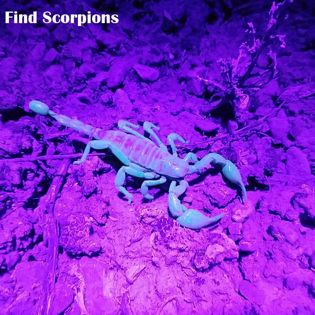 Linterna UV Waklyte D16A-1, 21 LED 395nm, Mini Luz Negra