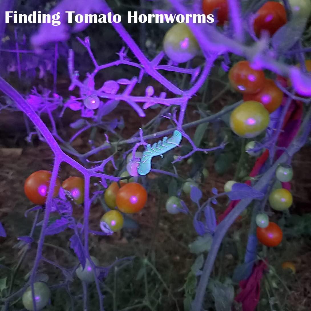 Linterna UV Waklyte D16A-1, 21 LED 395nm, Mini Luz Negra