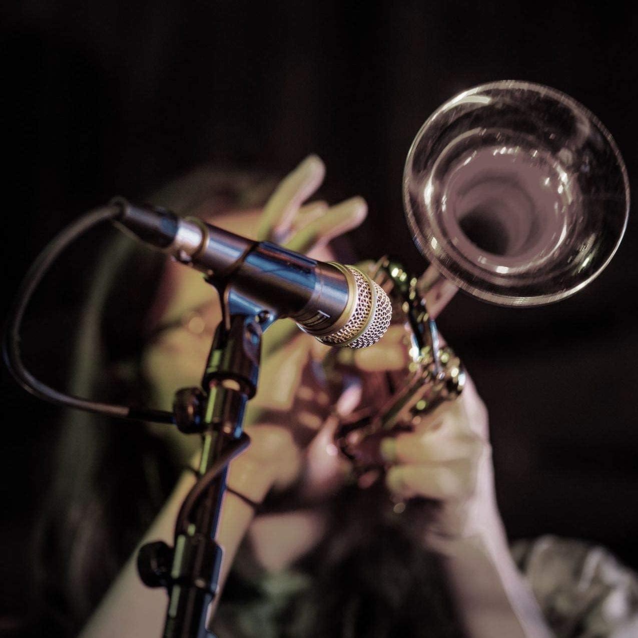 Micrófono Dinámico Supercardioide Shure BETA 57A 272g