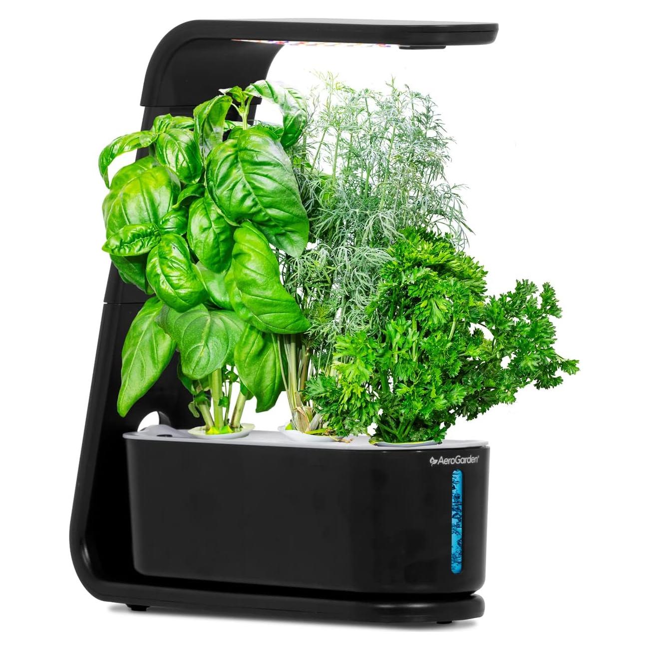 AeroGarden Sprout - Jardín Interior LED 10W, Negro