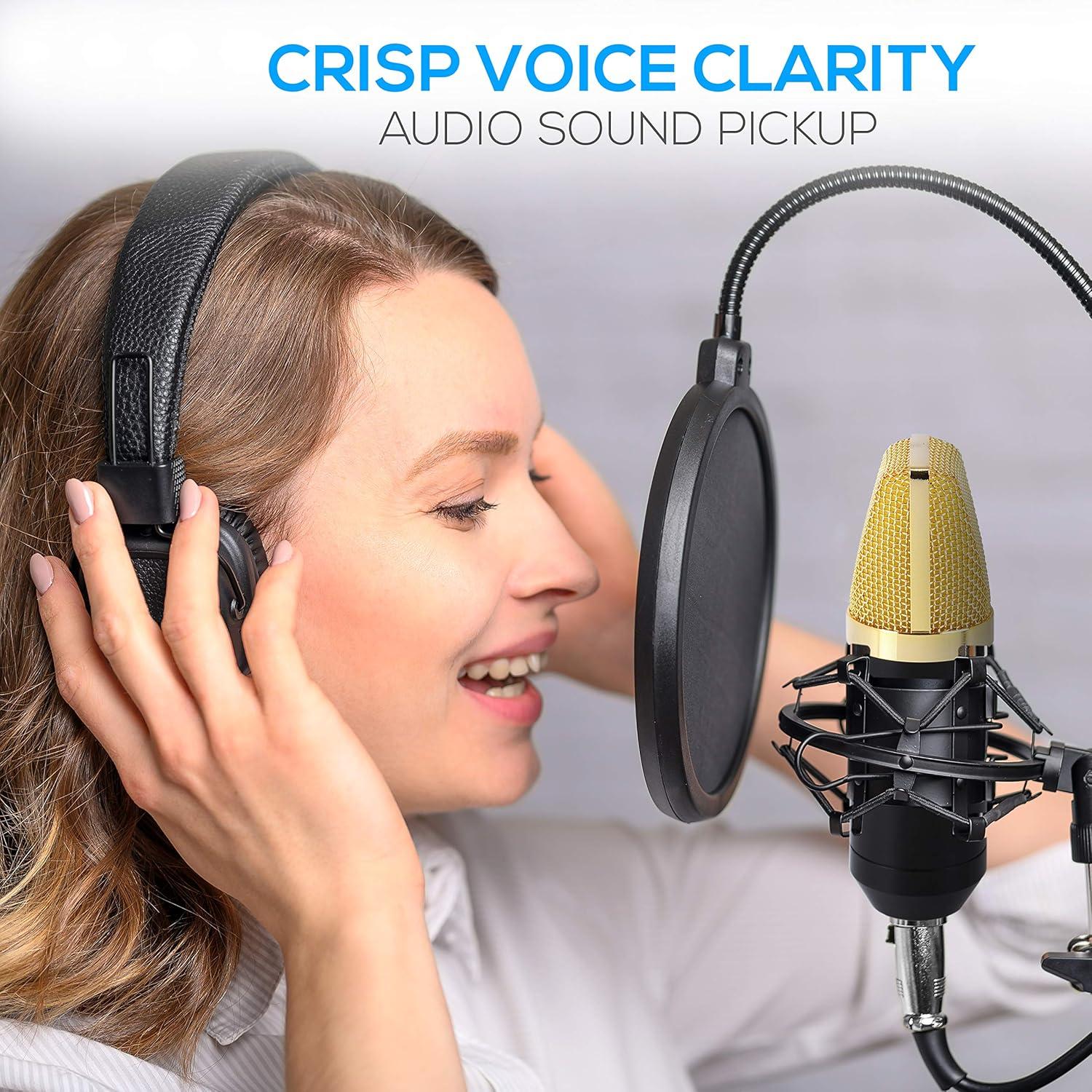 Micrófono de condensador cardioide Pyle PDMIC71 con soporte