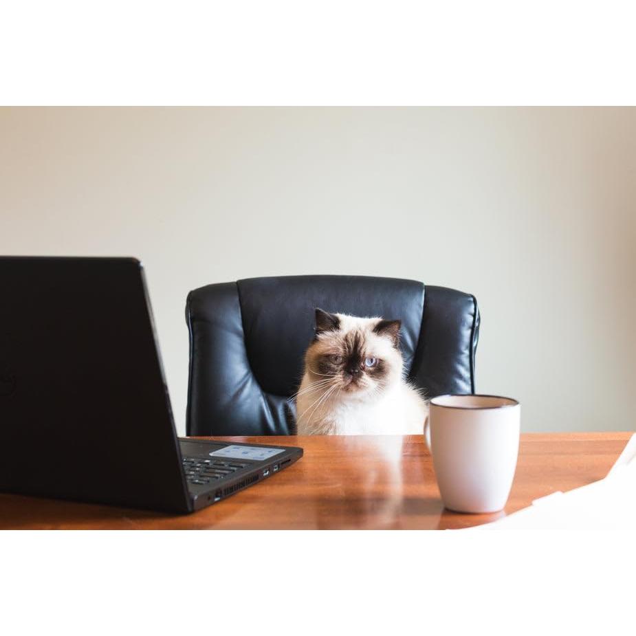 Cable USB Tipo A a Tipo C 1.52m OMNIHIL para Razer Kiyo Pro