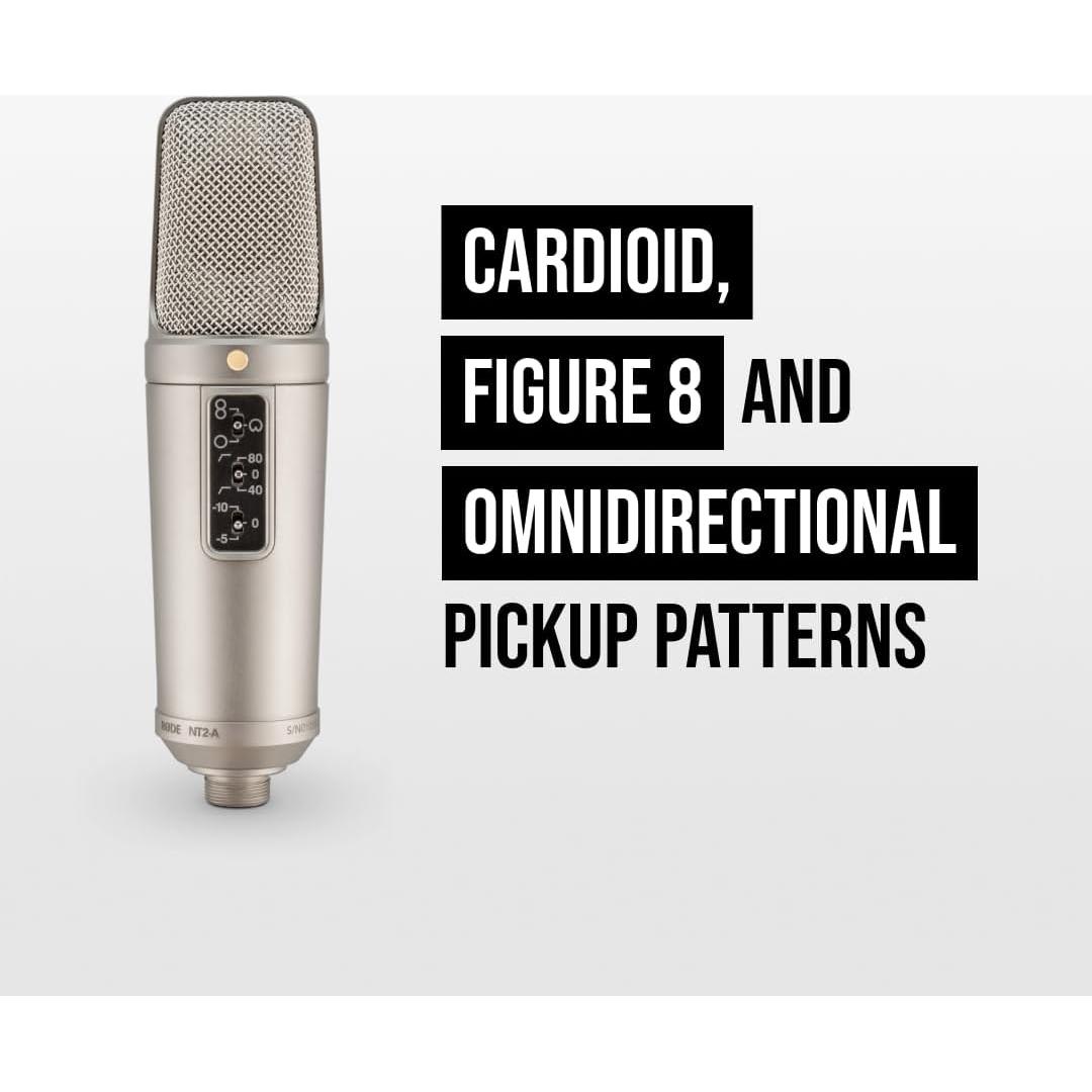 Micrófono de Estudio Rode NT2-A, Gran Diafragma, Plata