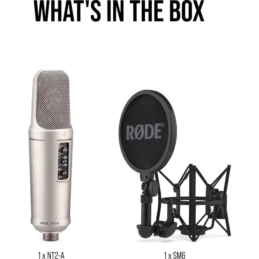Micrófono de Estudio Rode NT2-A, Gran Diafragma, Plata