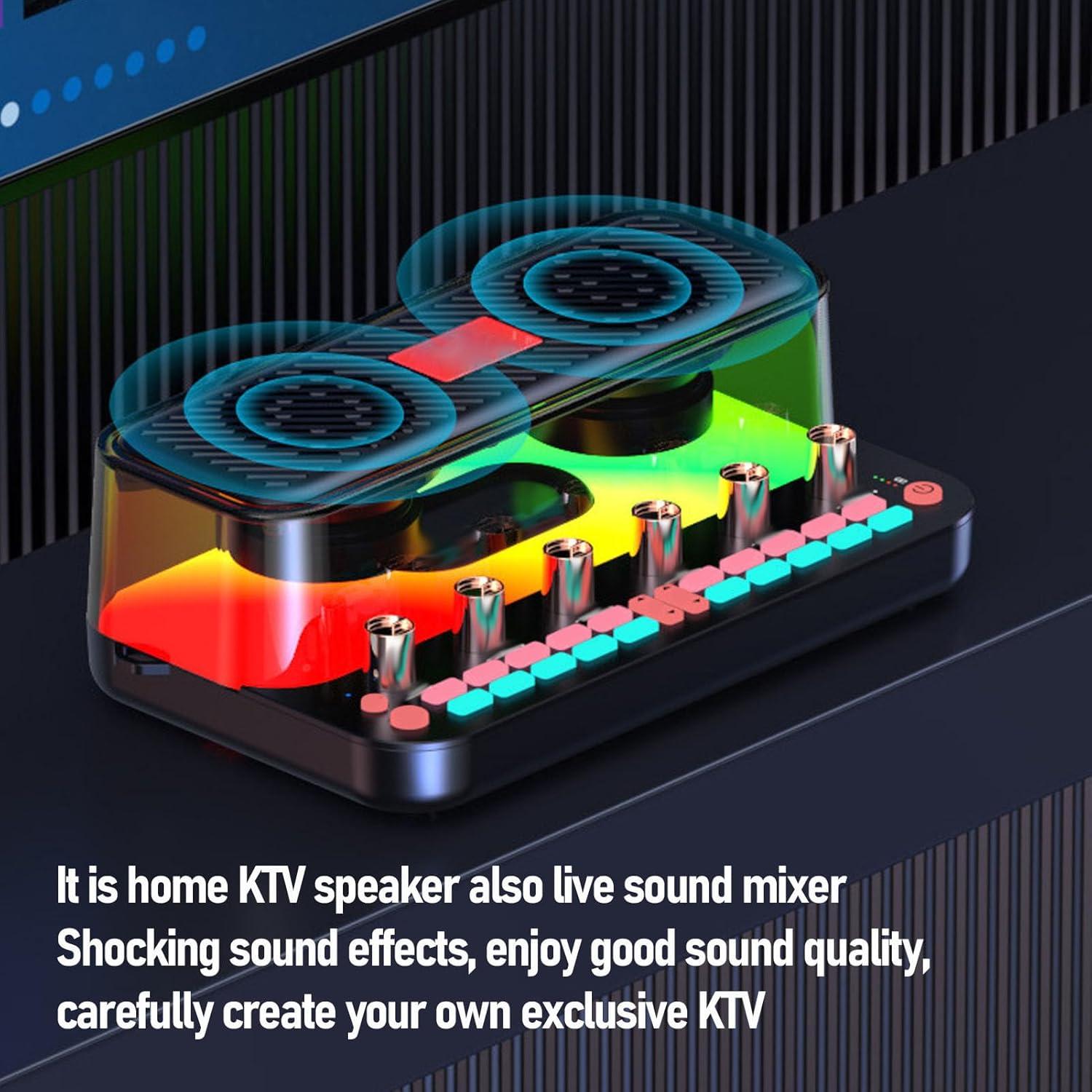 Sistema de Mezclador de Karaoke Inalámbrico Bewinner con 2 Micrófonos