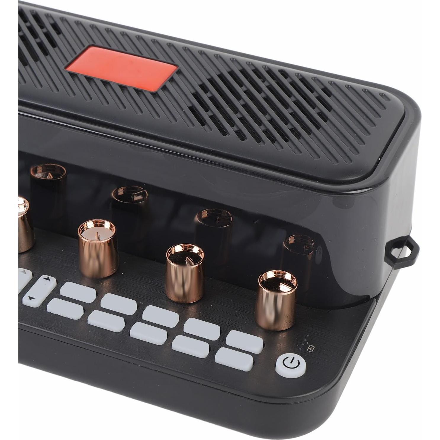 Sistema de Mezclador de Karaoke Inalámbrico Bewinner con 2 Micrófonos