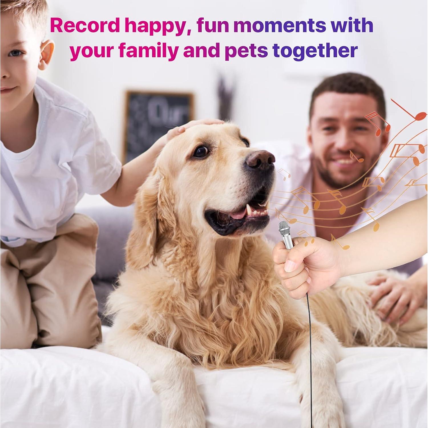 Micrófono Mini Tipo-C JeMii Plata Omnidireccional 9g