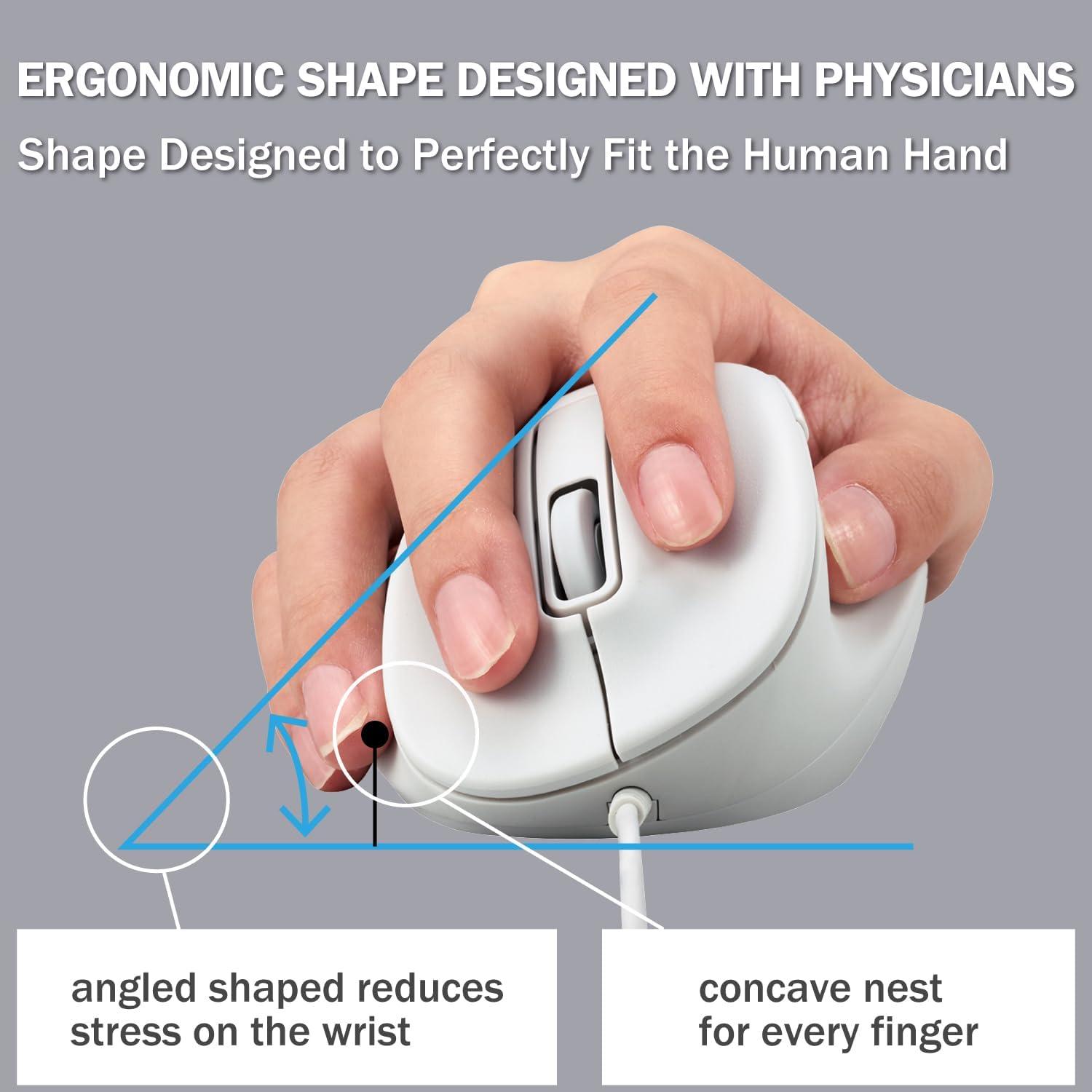 Ratón USB Ergonómico ELECOM EX-G M Blanco 2000DPI 5 Botones