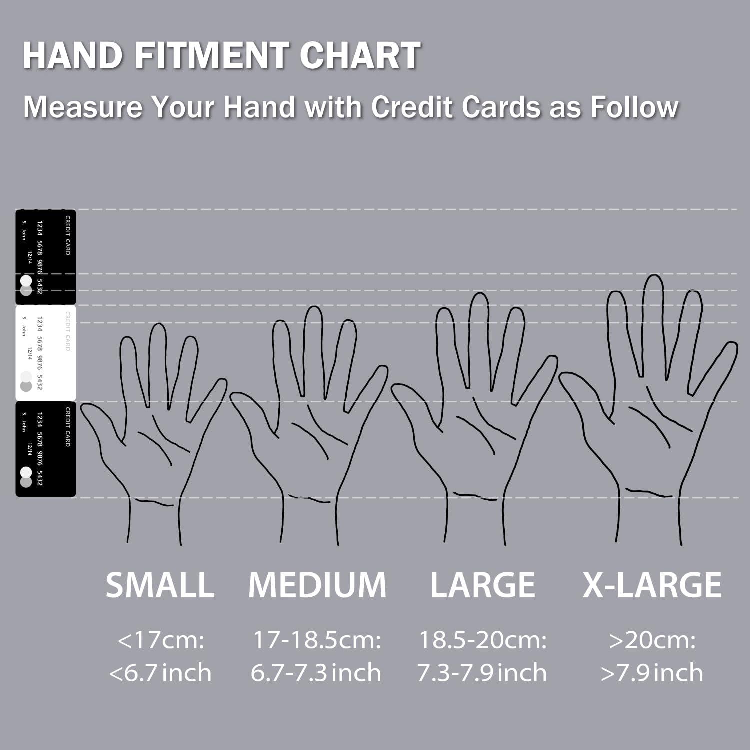 Ratón USB Ergonómico ELECOM EX-G M Blanco 2000DPI 5 Botones