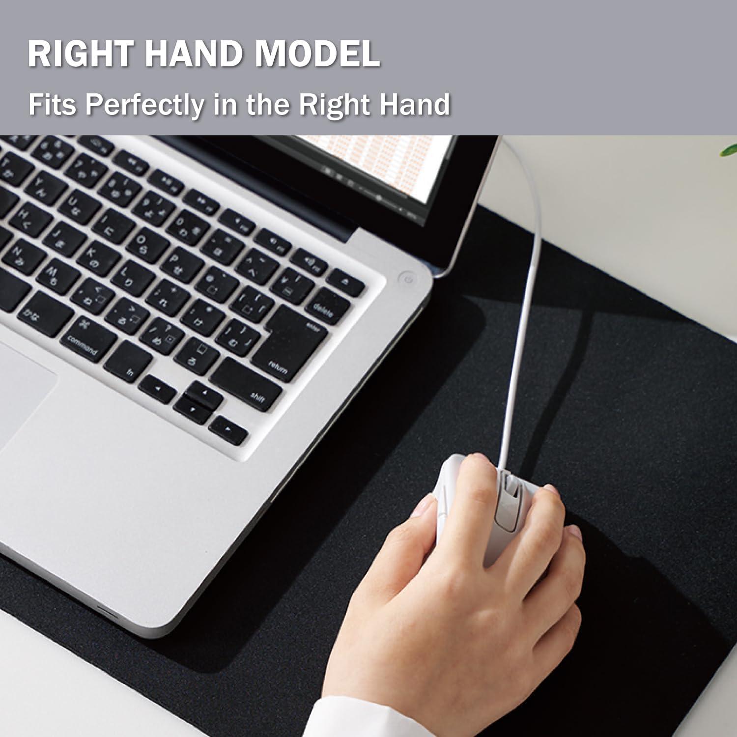 Ratón USB Ergonómico ELECOM EX-G M Blanco 2000DPI 5 Botones