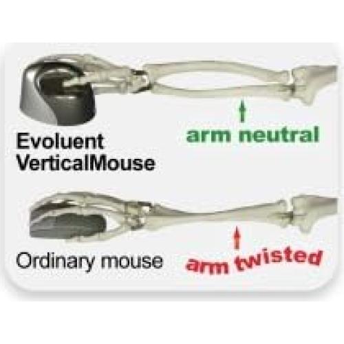 Mouse Vertical Evoluent VM4RM Ergonómico Inalámbrico para Mac