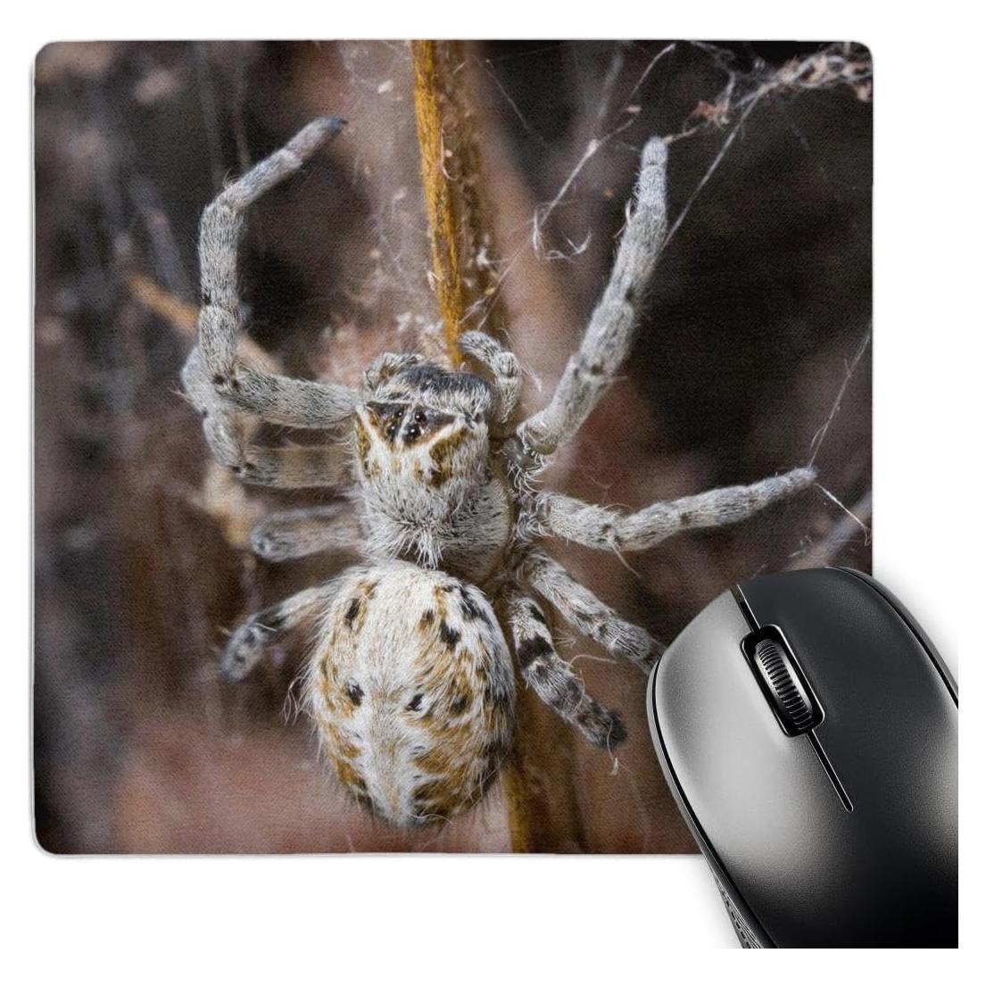 Alfombrilla de Ratón 3dRose 20.32x20.32cm Namibia Araña