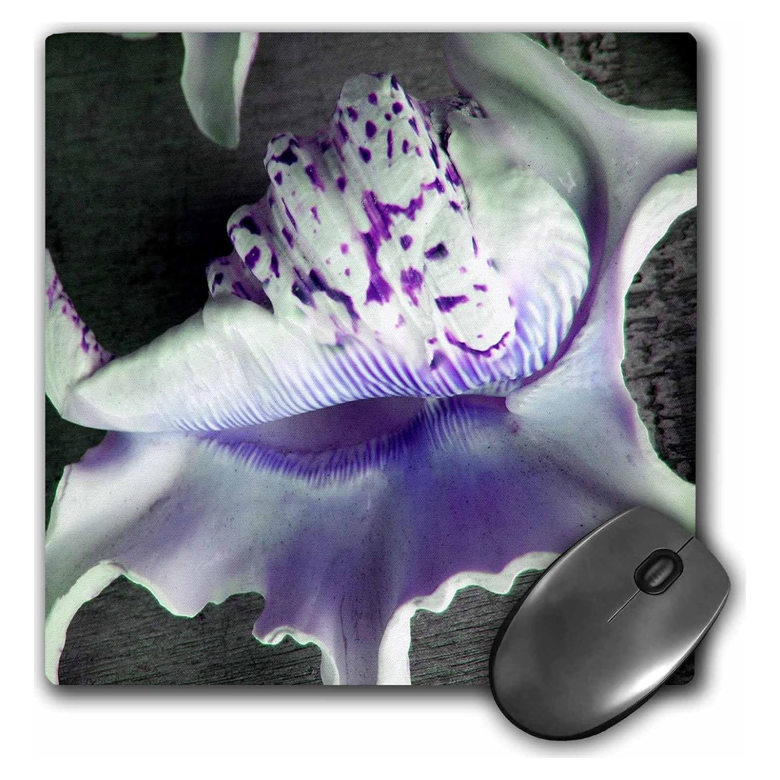 Alfombrilla de Ratón 3dRose 20.32x20.32cm Conchas Marinas