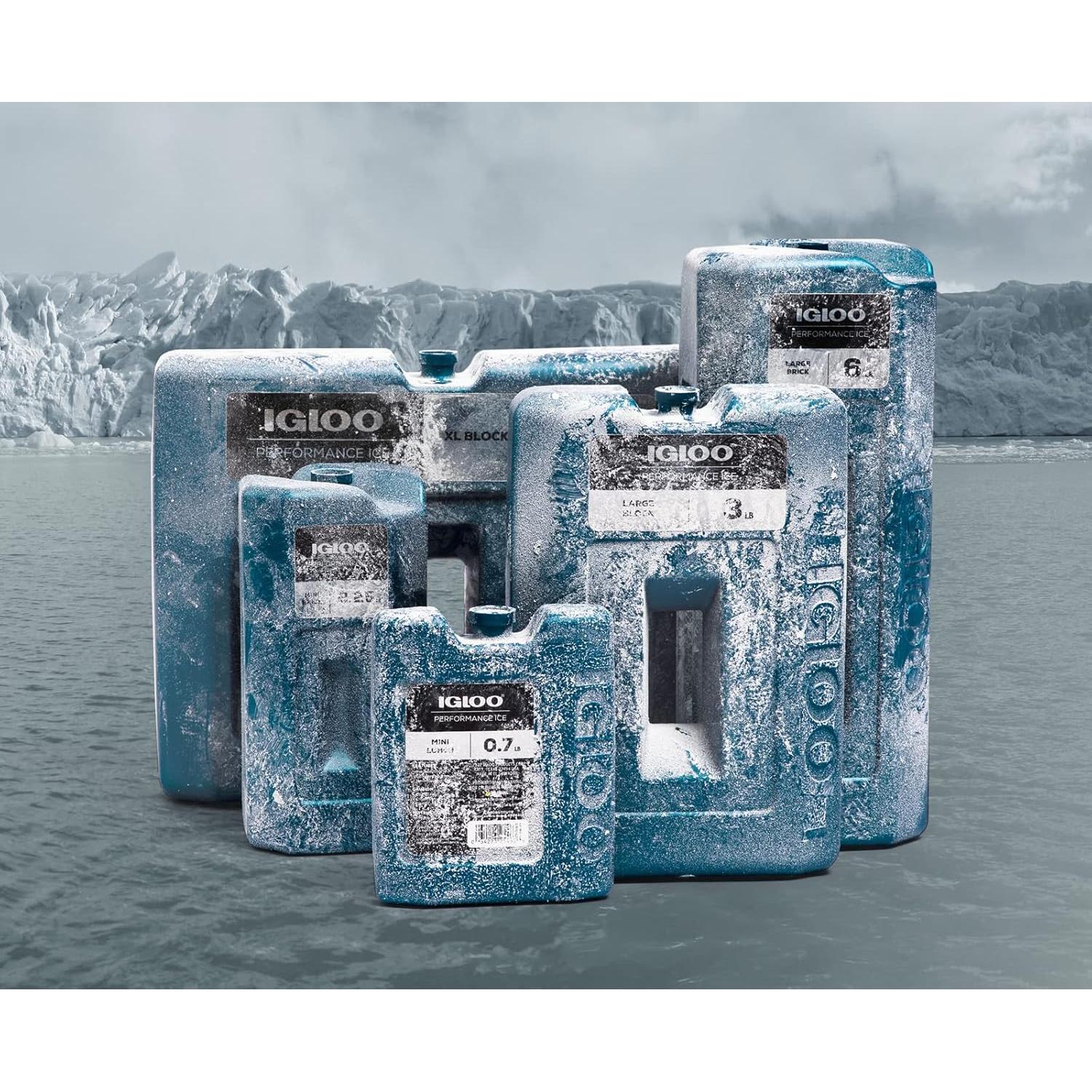 Bloque de Hielo XL Igloo 2.72 kg Reutilizable y Modular