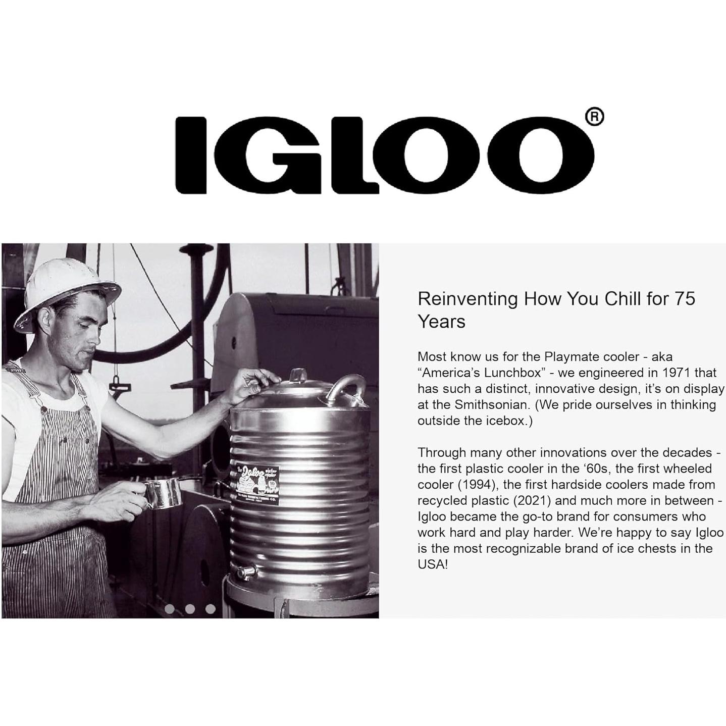 Pestillos Híbridos Igloo para Neveras 2-Pack Acero Inoxidable