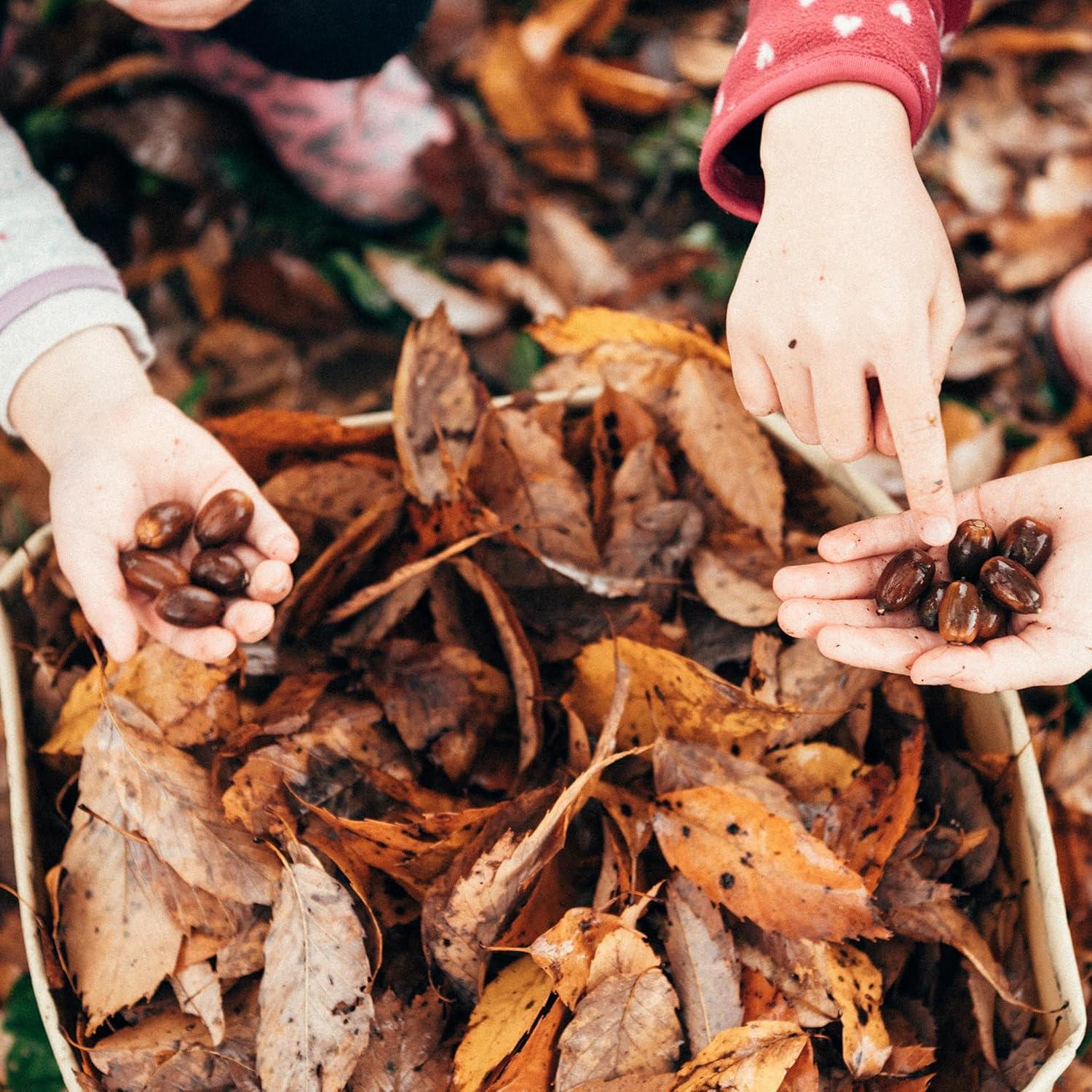 Cubo de Camping Snow Peak 13.25L Beige Plegable