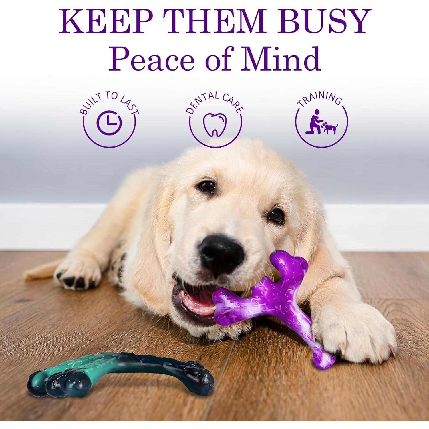 Juguetes para Perros Frienhund Paquete de 2 Resistentes