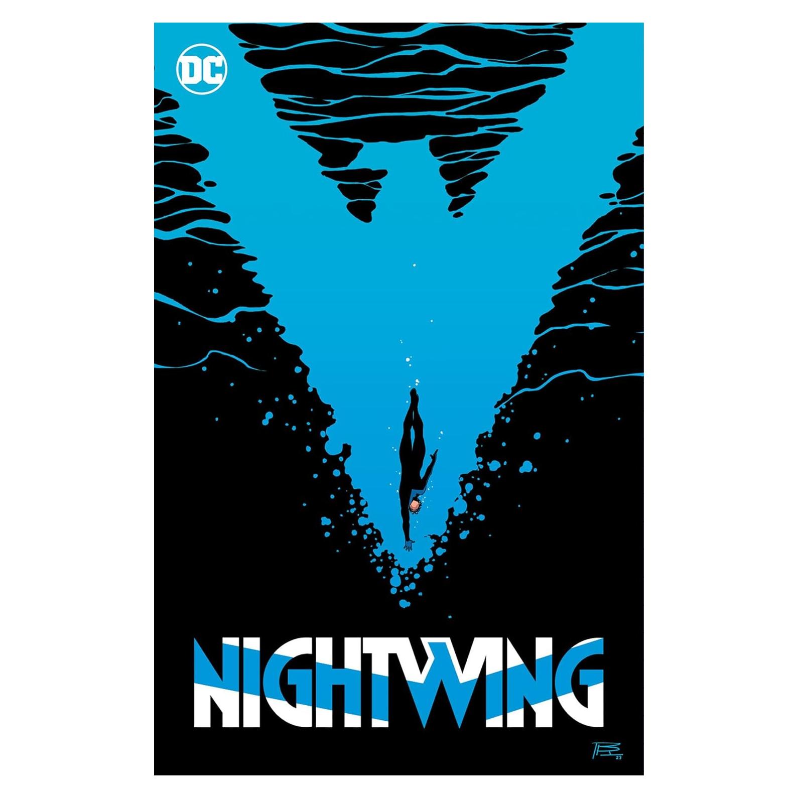 Nightwing 6: Standing at the Edge