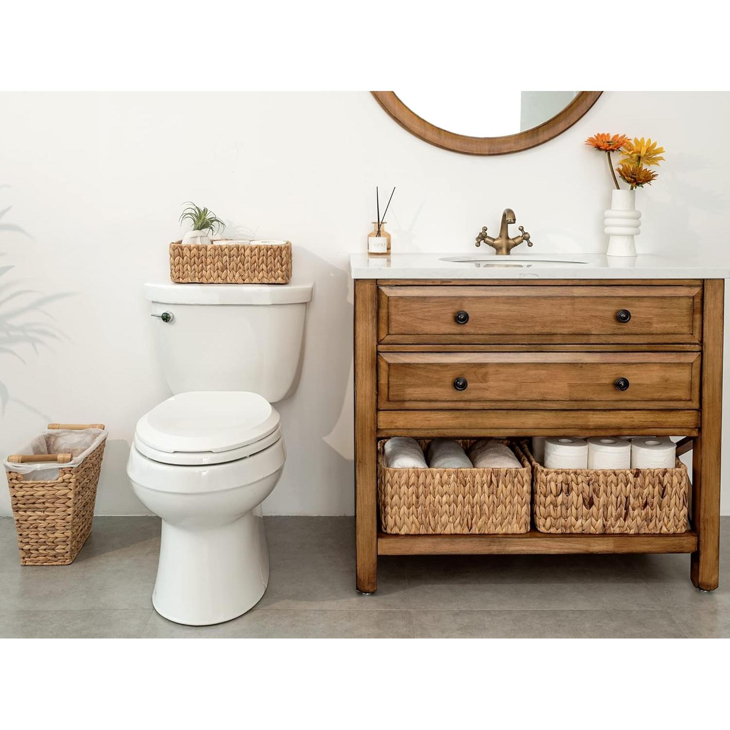 Cestas de Almacenamiento StorageWorks - Juego de 3 Jacinto de Agua