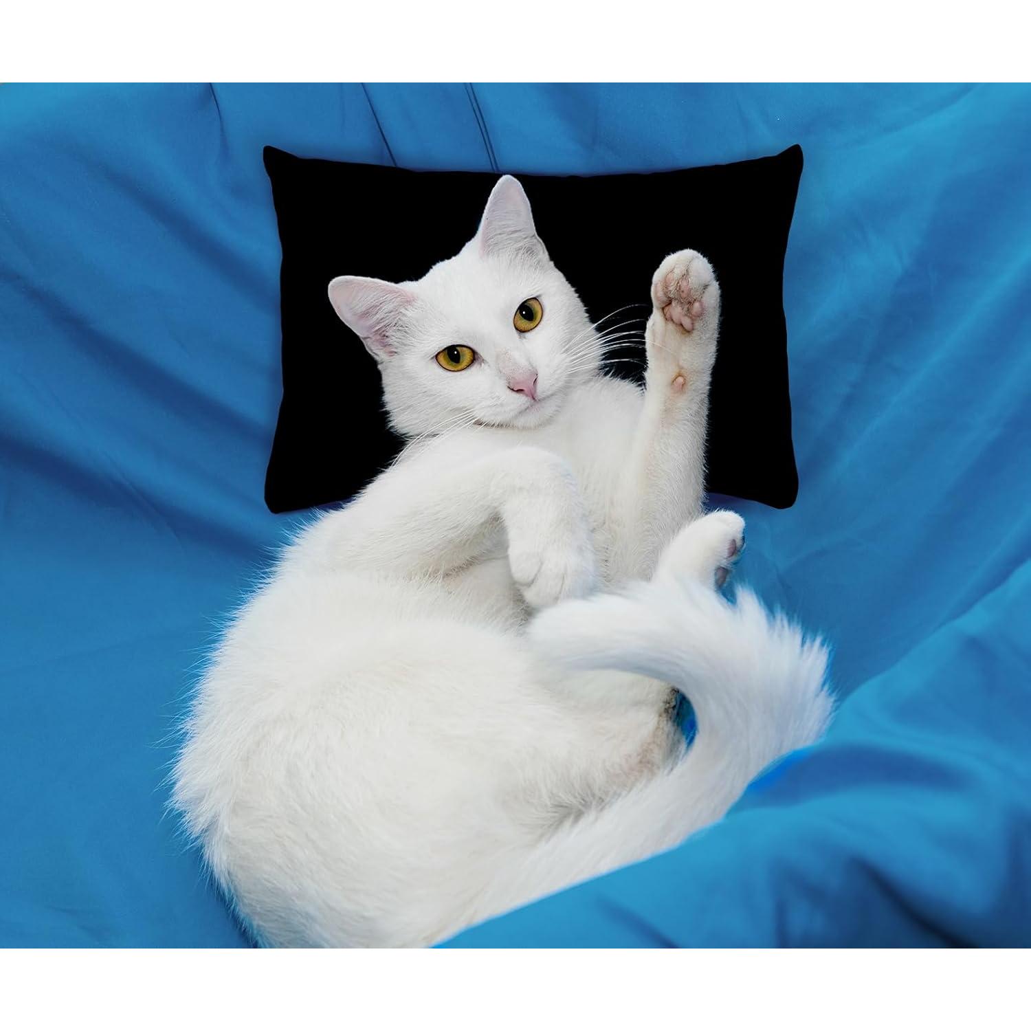 Cojín Pequeño Wuronsa Negro 28x18 cm Ajustable Lavable