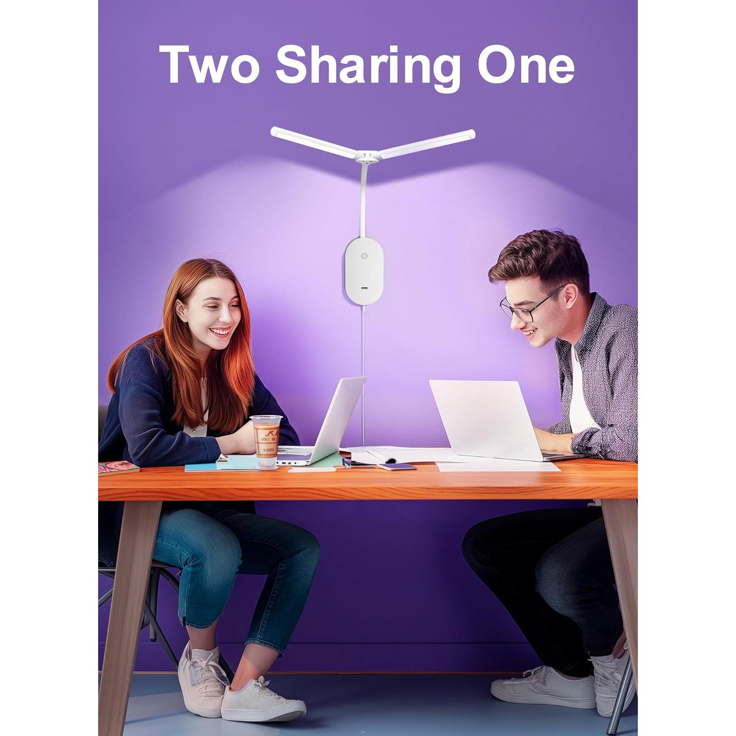 Lámpara de Lectura Montada en Pared TOPMB con Doble Cabeza 50.8 cm