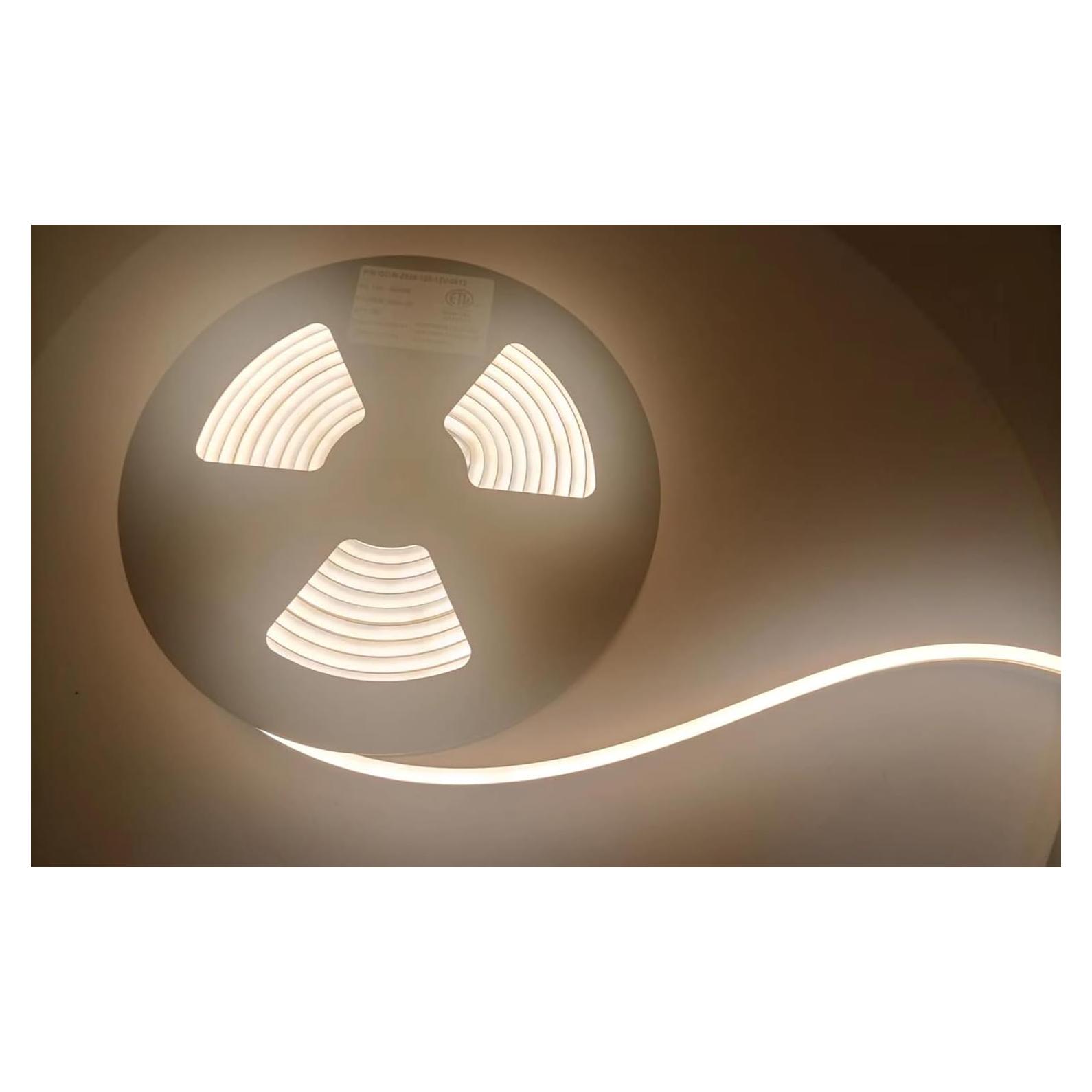 Tira de Luz LED Neón Q QINGCHEN 2800K 5m Impermeable 12V