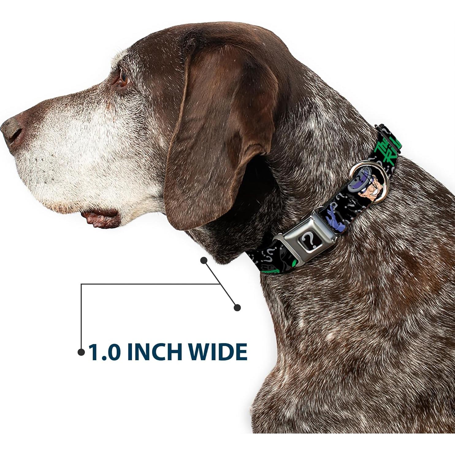 Collar de perro Buckle-Down Batman Mediano 3.81 cm Ancho