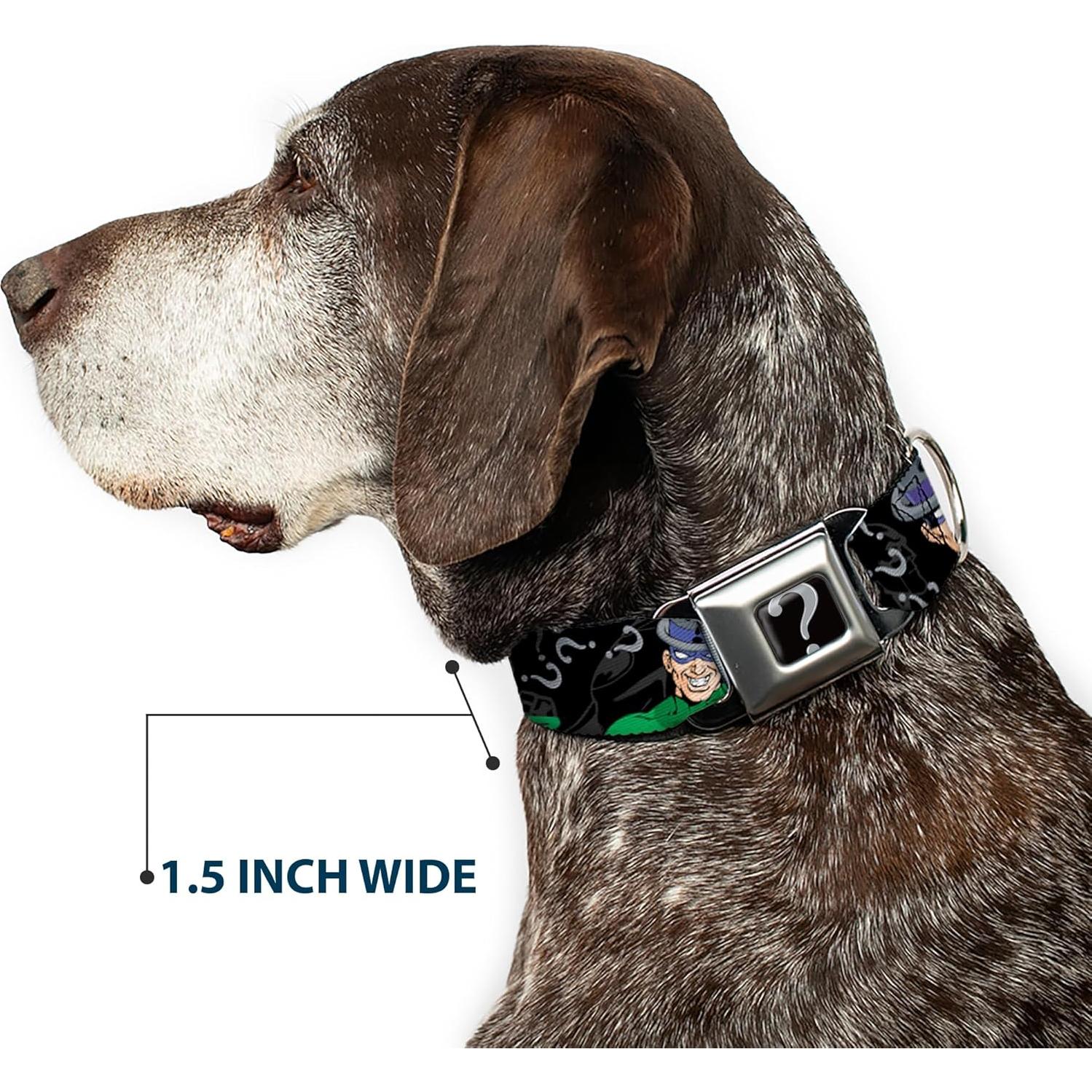 Collar de perro Buckle-Down Batman Mediano 3.81 cm Ancho