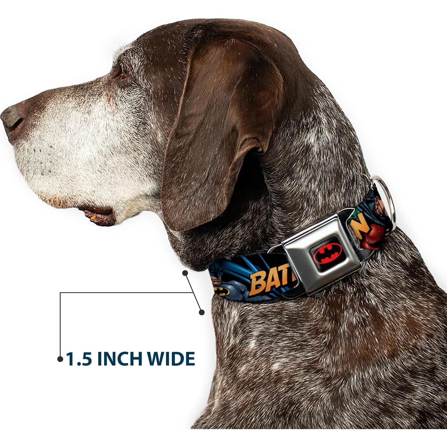 Collar para Perro Buckle-Down Batman 2,54 cm Ajustable Mediano