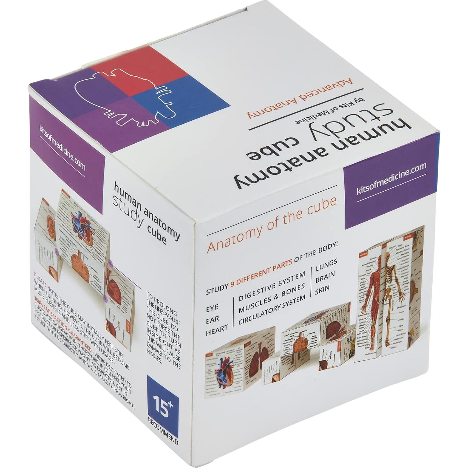 Cubo de Estudio de Anatomía Humana Kits de Medicina 7x7cm