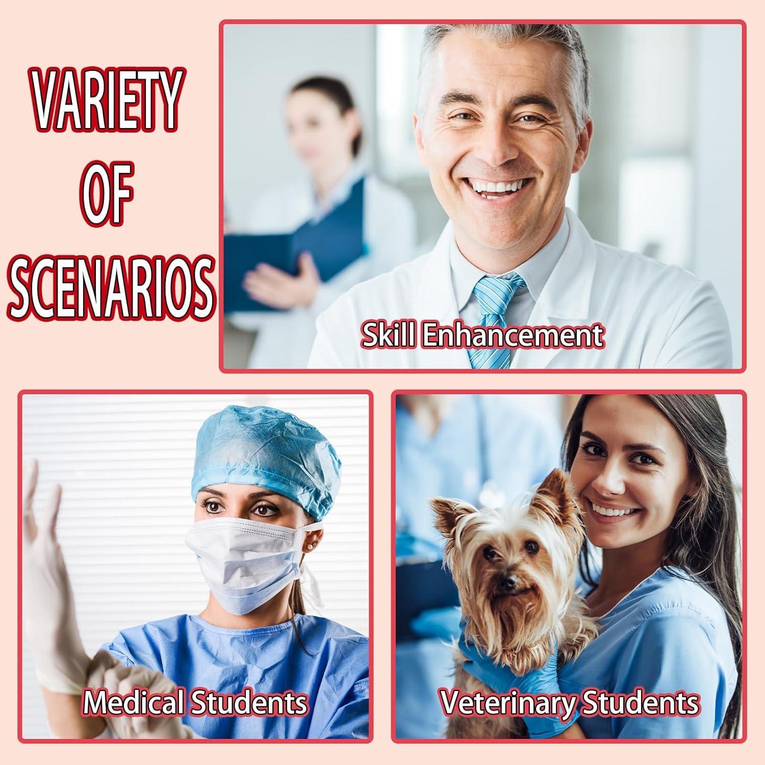 Kit de Práctica de Sutura 3 Piezas ZongHan - Almohadillas Reutilizables