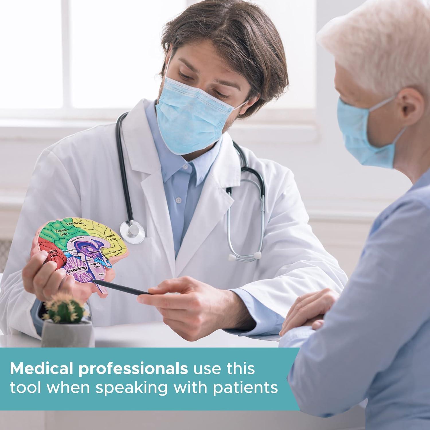 Modelo de Cerebro de Espuma Merhoff 3D Educativo 14.9x13.7cm