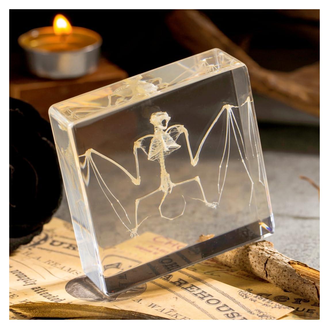 Esqueleto de Murciélago Real en Resina TOHTOFN - 11.18x9.66cm