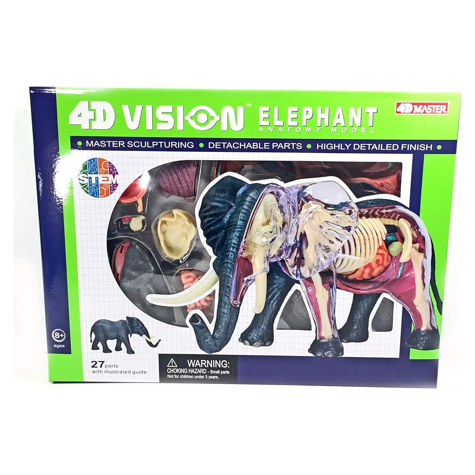 Modelo de Anatomía de Elefante 4DMaster 29 Piezas 24.5 cm