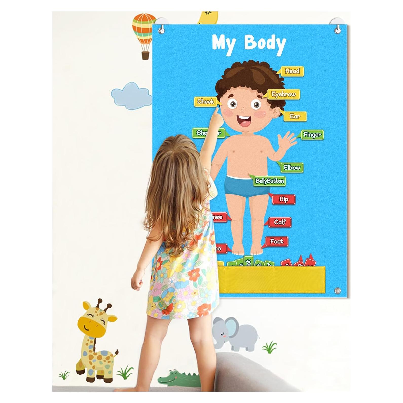 Tablero de Fieltro del Cuerpo Humano AKAYOK 36 Piezas Azul