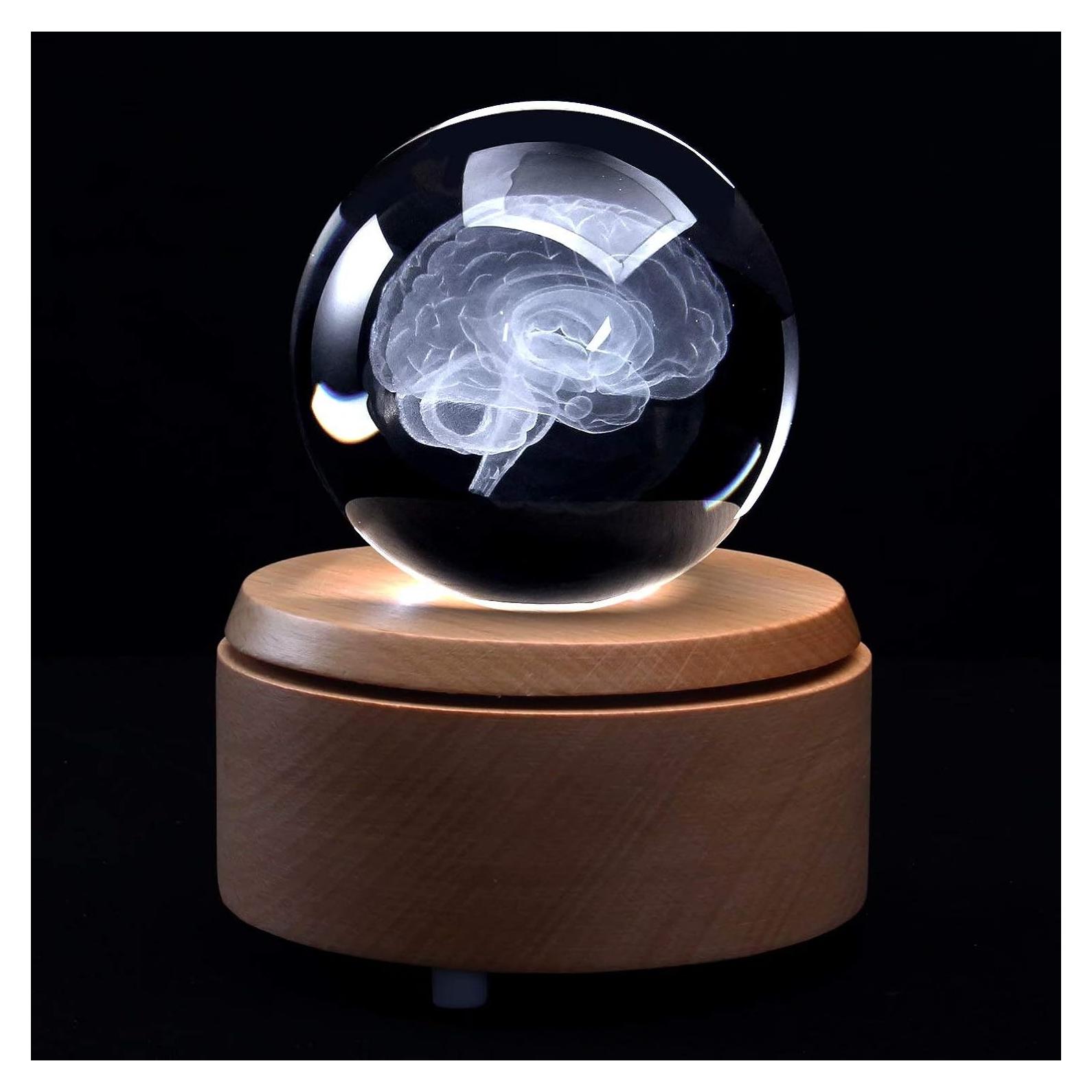 Bola de Cristal con Cerebro Humano 3D XINDAM 8.13 cm LED
