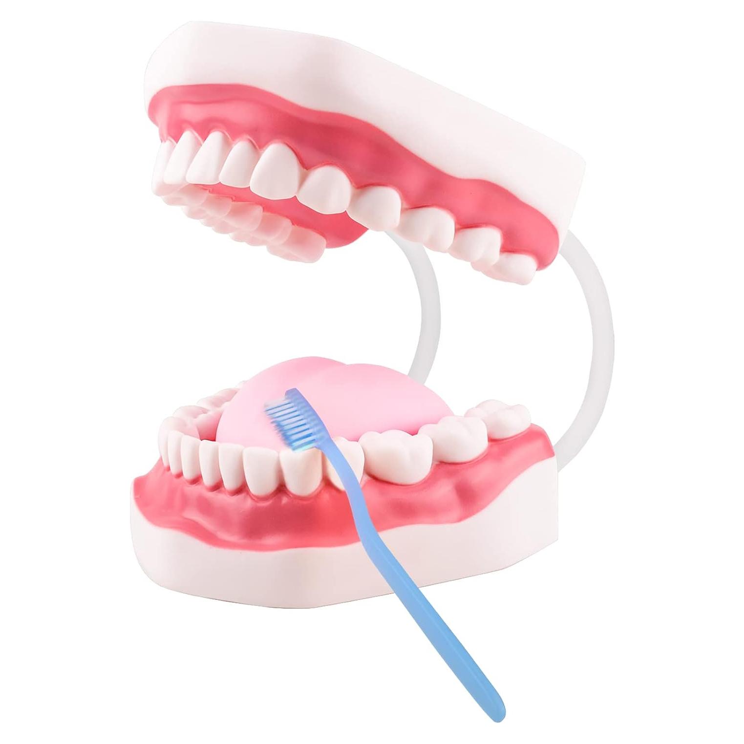 Modelo de Boca Ultrassist Blanco con Bisagra 6x para Niños